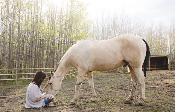 woman sitting with horse